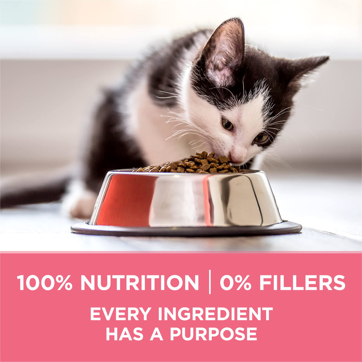 Purina ONE High Protein Kitten Dry Cat Food, 7 lb Bag