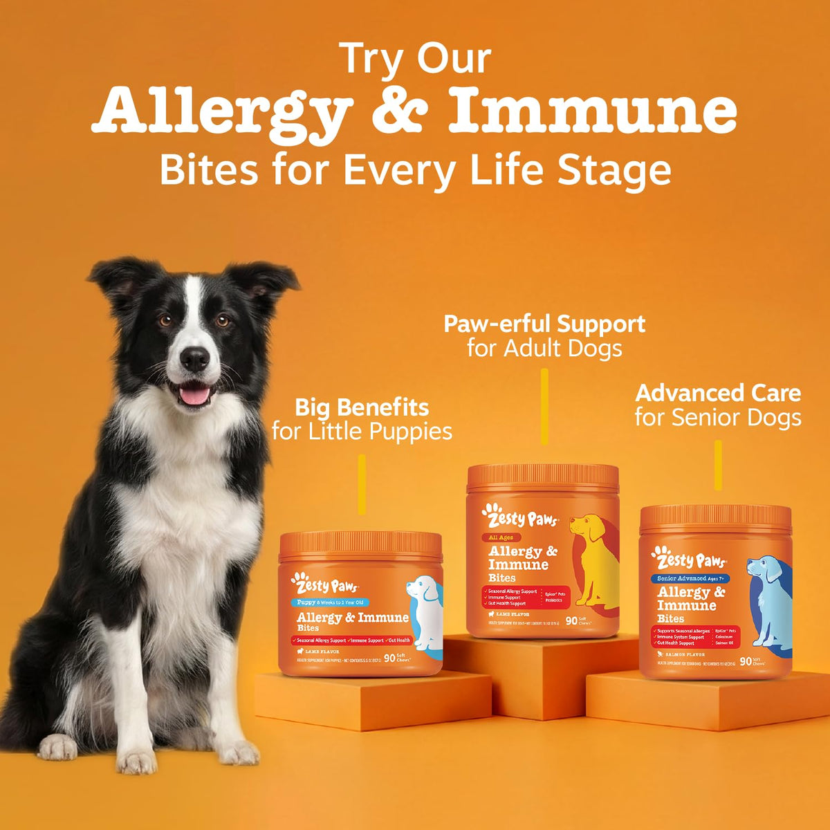 Zesty Paws Peanut Butter Allergy Support Chews for Dogs, 90 Count