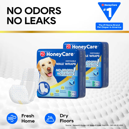 Male Dog Wraps Disposable – lifestyle close view