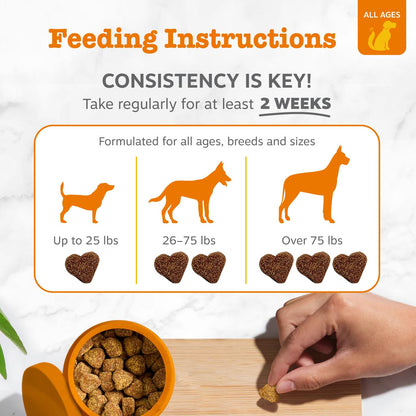 Zesty Paws Peanut Butter Allergy Support Chews for Dogs, 90 Count