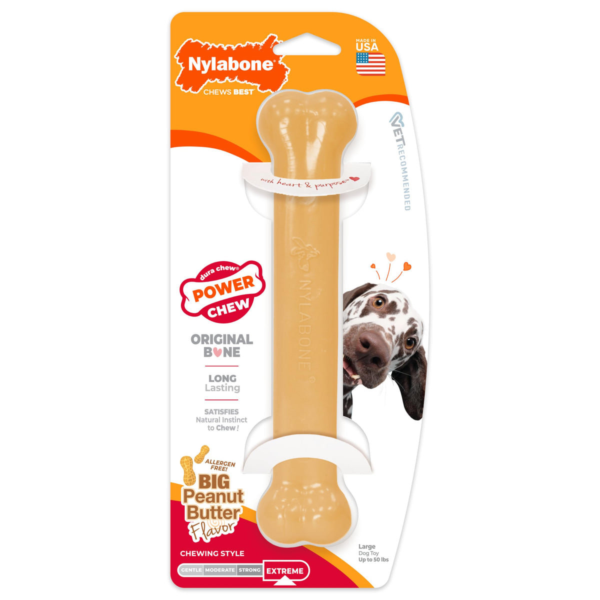 Dog chewing a Nylabone Power Chew nylon bone toy