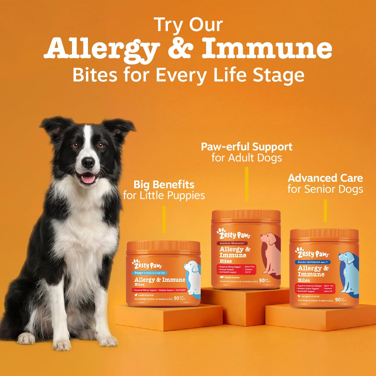 Zesty Paws Peanut Butter Allergy Support Chews for Dogs, 90 Count