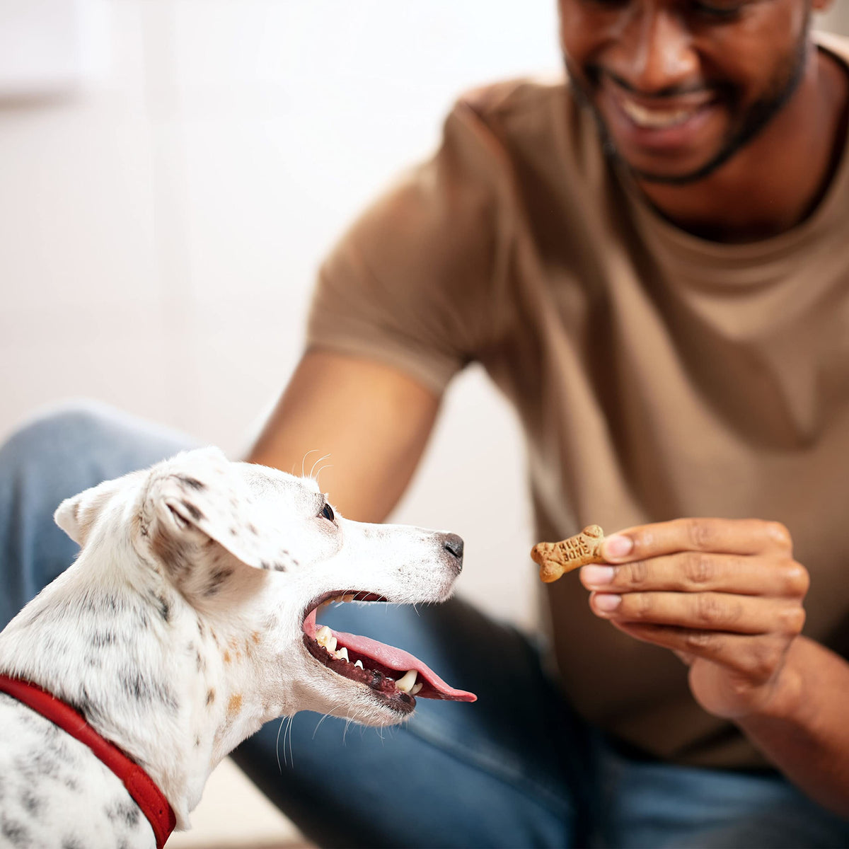 Milk-Bone Flavor Snacks Mini Dog Biscuits, 36 oz