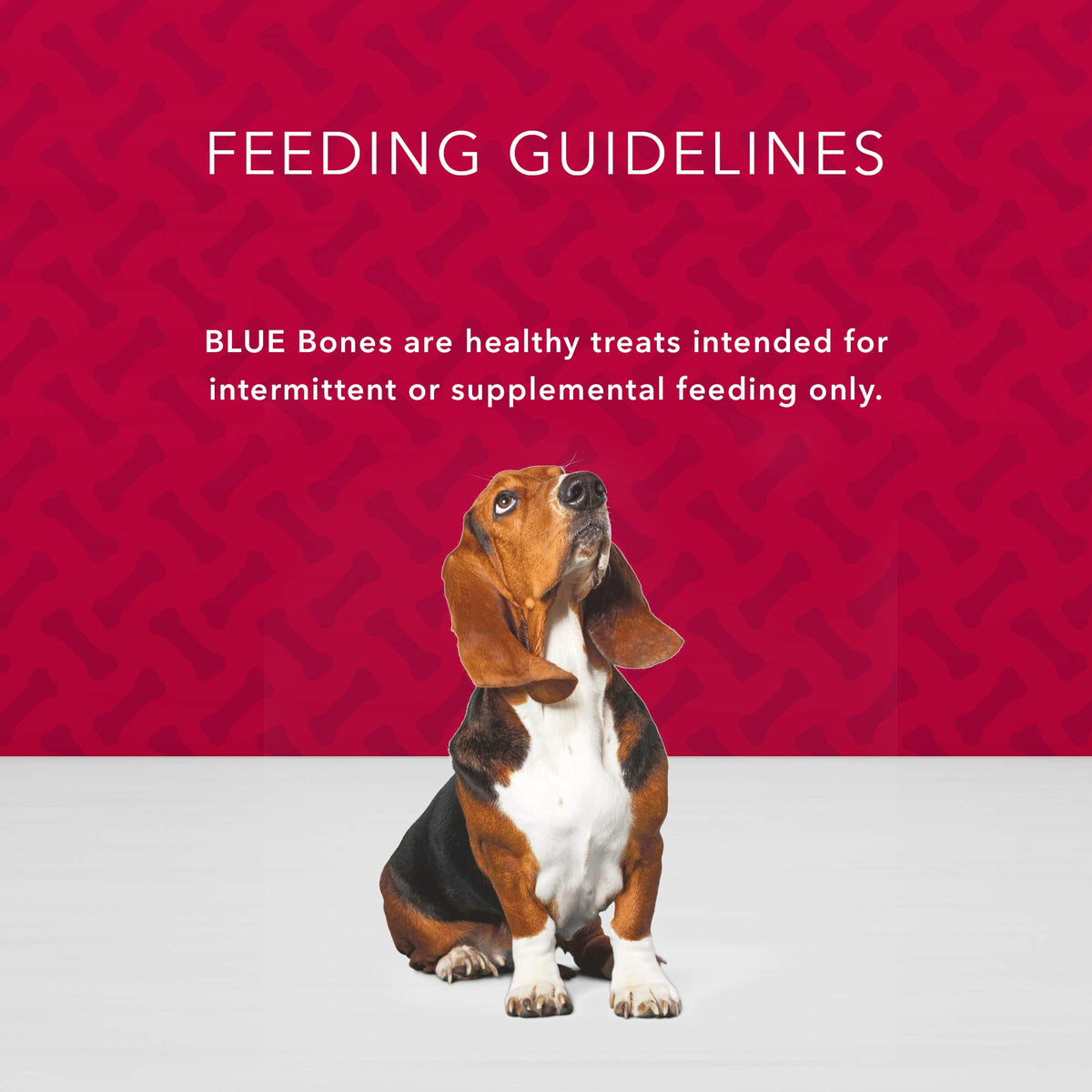 Blue Buffalo Health Bars Apple & Yogurt Dog Biscuits, 3.5 lb