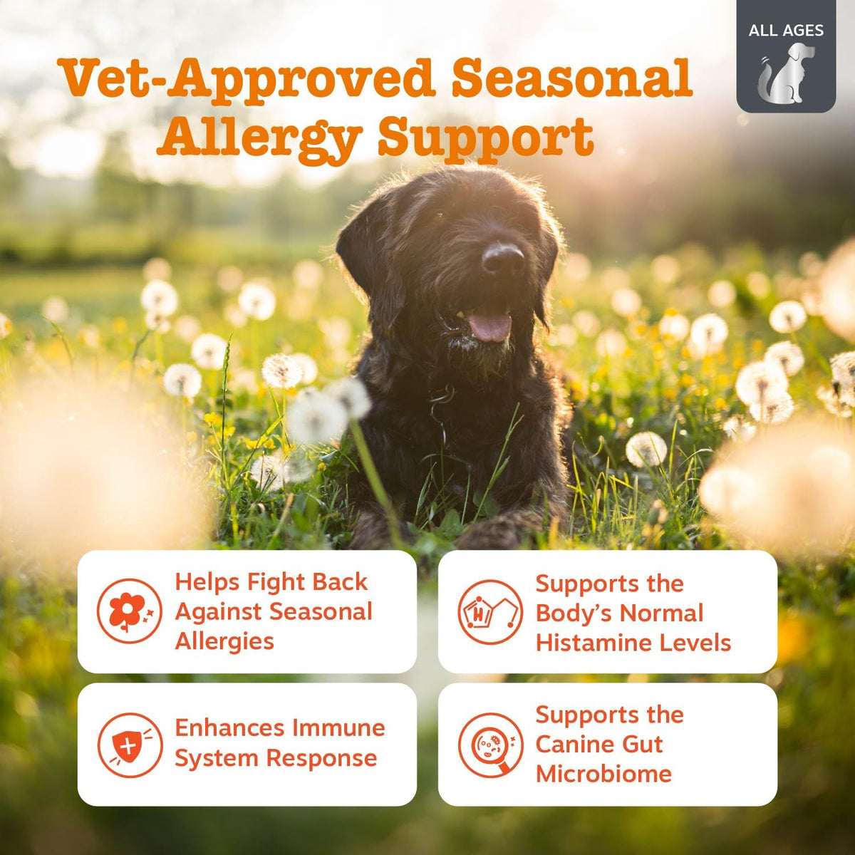 Zesty Paws Peanut Butter Allergy Support Chews for Dogs, 90 Count