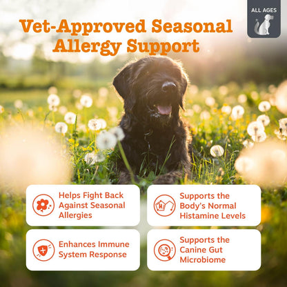 Zesty Paws Peanut Butter Allergy Support Chews for Dogs, 90 Count