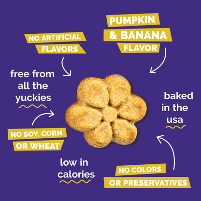Fruitables Pumpkin & Blueberry Low-Calorie Baked Dog Treats, 12 oz