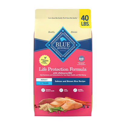 Blue Buffalo Life Protection Chicken – indoor setting view