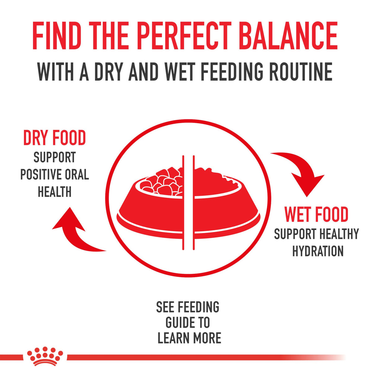 Royal Canin Small Adult Dry Dog Food, 4 lb Bag