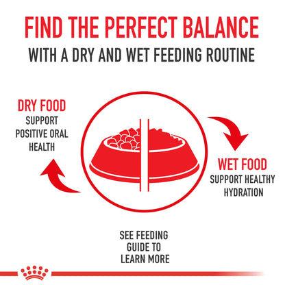 Royal Canin Small Adult Dry Dog Food, 4 lb Bag