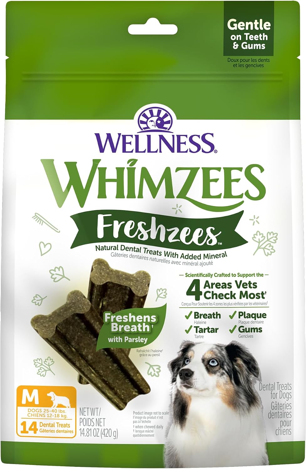 Dog chewing a Whimzees Brushzees toothbrush-shaped chew