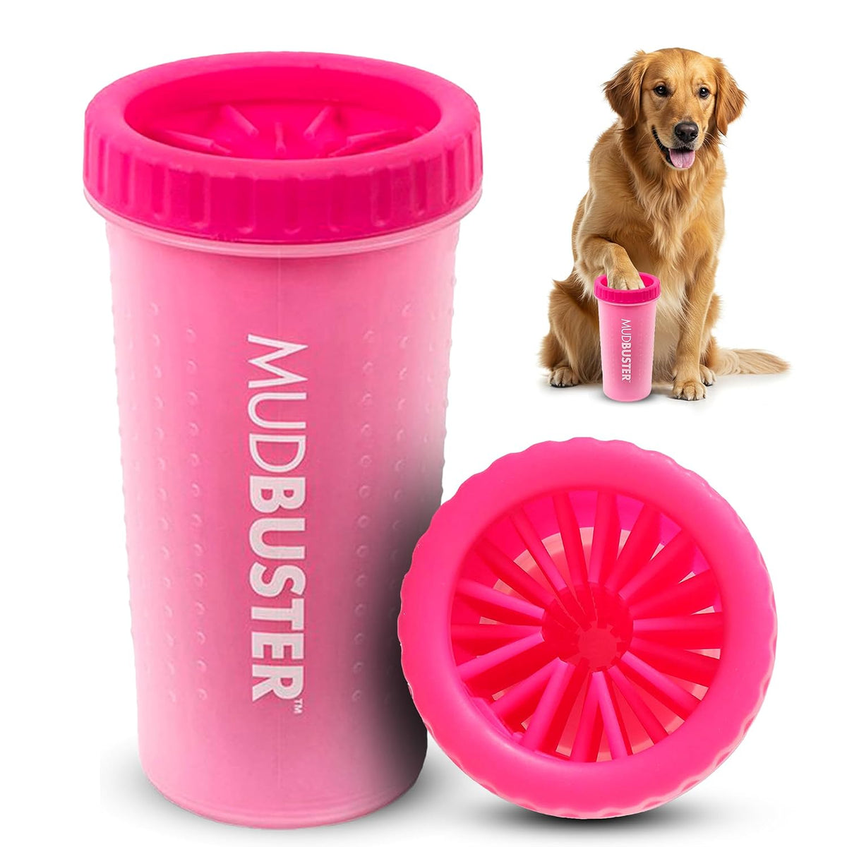 Washing a dog's paw in a Dexas MudBuster paw washer