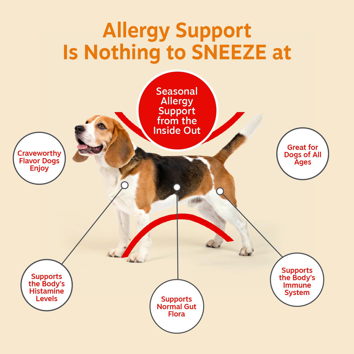 Zesty Paws Peanut Butter Allergy Support Chews for Dogs, 90 Count