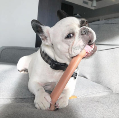 Nylabone Power Chew dog chew toy medium 2-pack bacon and chicken flavor