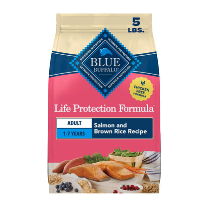 Blue Buffalo Life Protection Chicken – lifestyle scene view