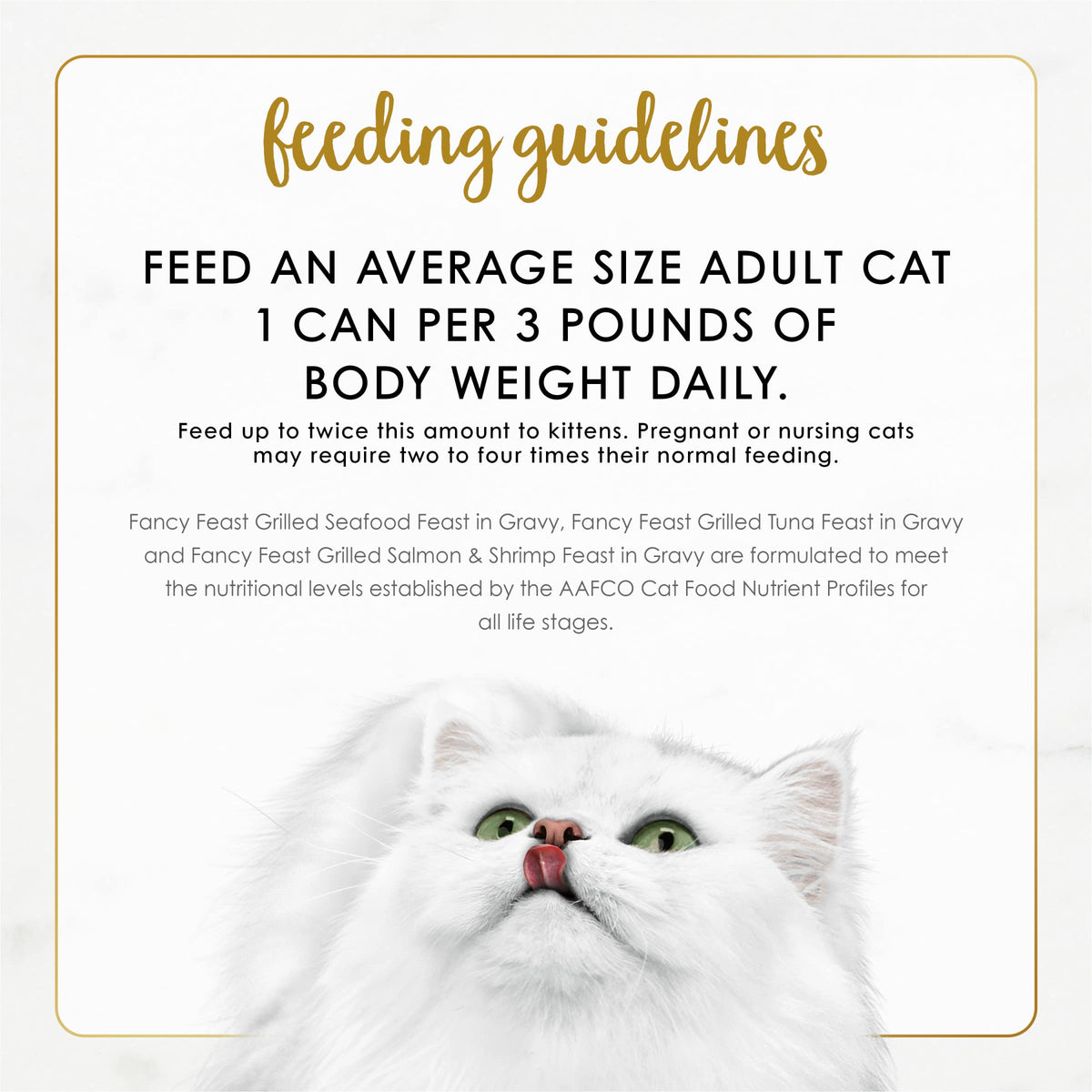 Fancy Feast Grilled Seafood Cat Food – lifestyle scene view