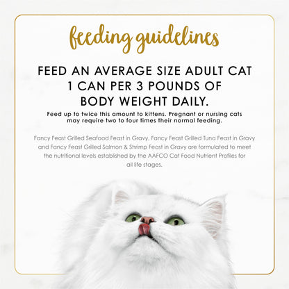 Fancy Feast Grilled Seafood Cat Food – lifestyle scene view