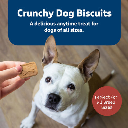 Blue Buffalo Health Bars Apple & Yogurt Dog Biscuits, 3.5 lb