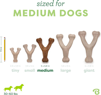 Benebone Wishbone dog chew - curved wishbone shape for an easy paw grip