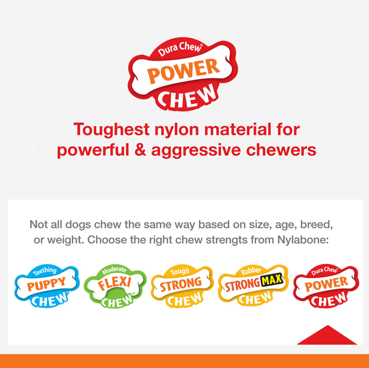 Nylabone Power Chew durable nylon bone for aggressive chewers