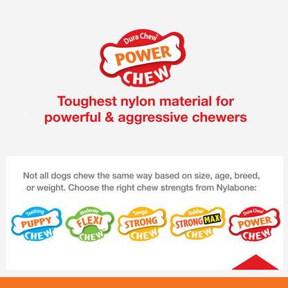 Nylabone Power Chew durable nylon bone for aggressive chewers