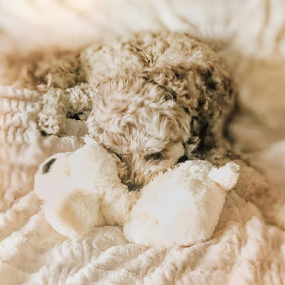 Snuggle Puppy Heartbeat Toy – Calming Comfort Plush for Medium Dogs, Cream