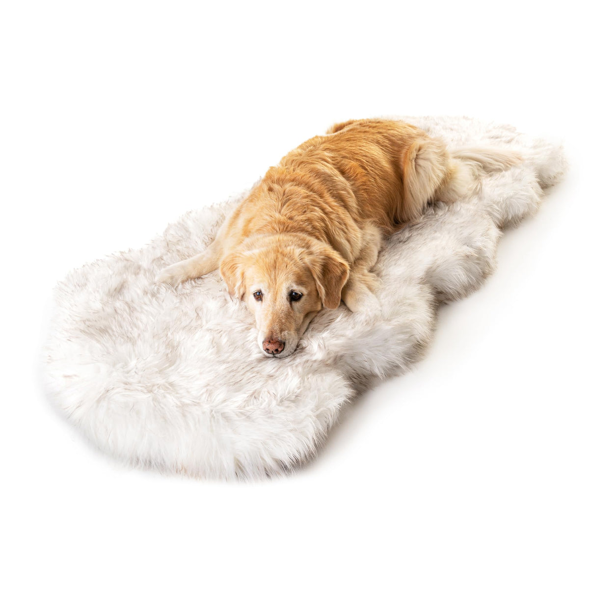 PupRug Orthopedic Dog Bed – features overview