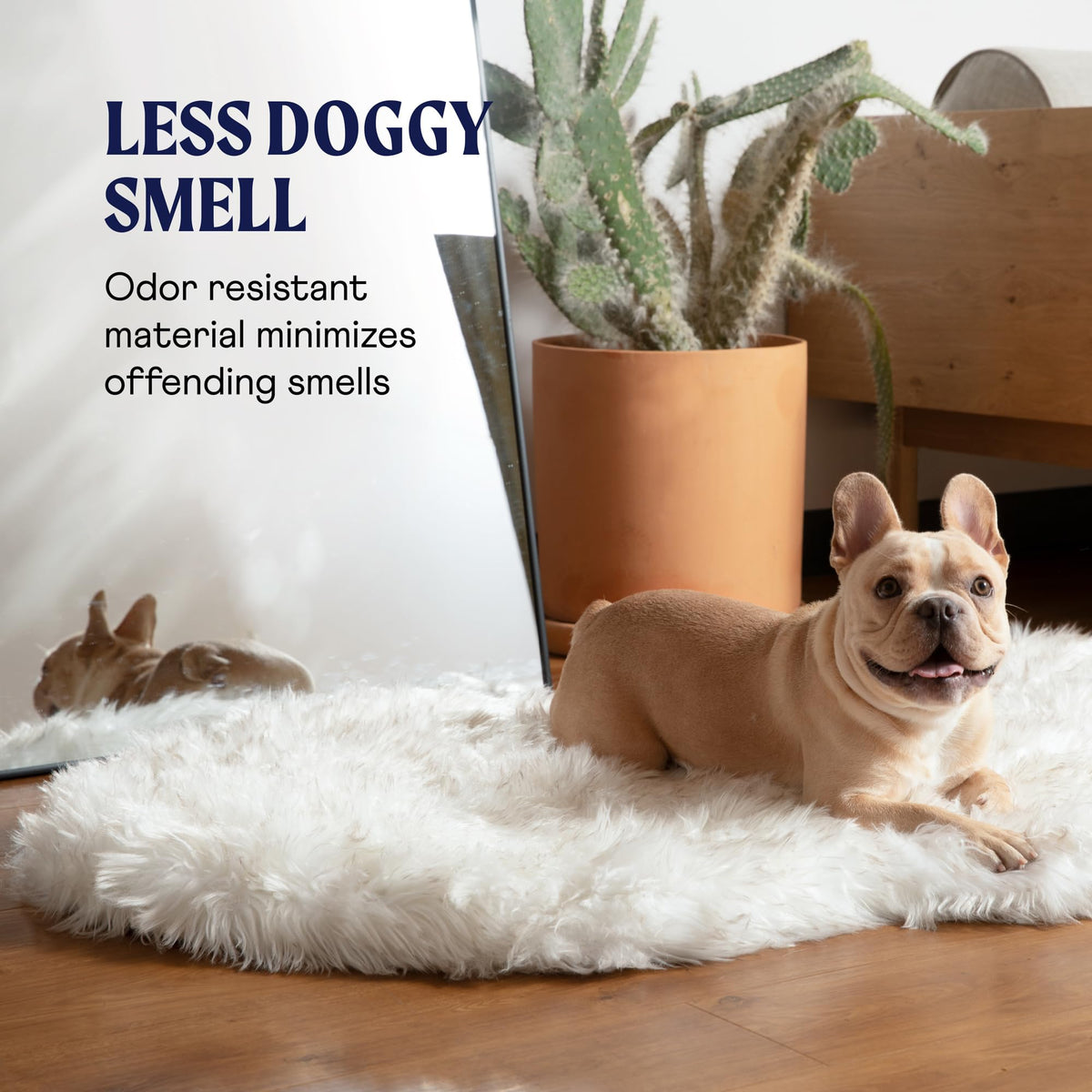 PAW PupRug Orthopedic Memory Foam Dog Bed – White/Brown, 40 x 25 in