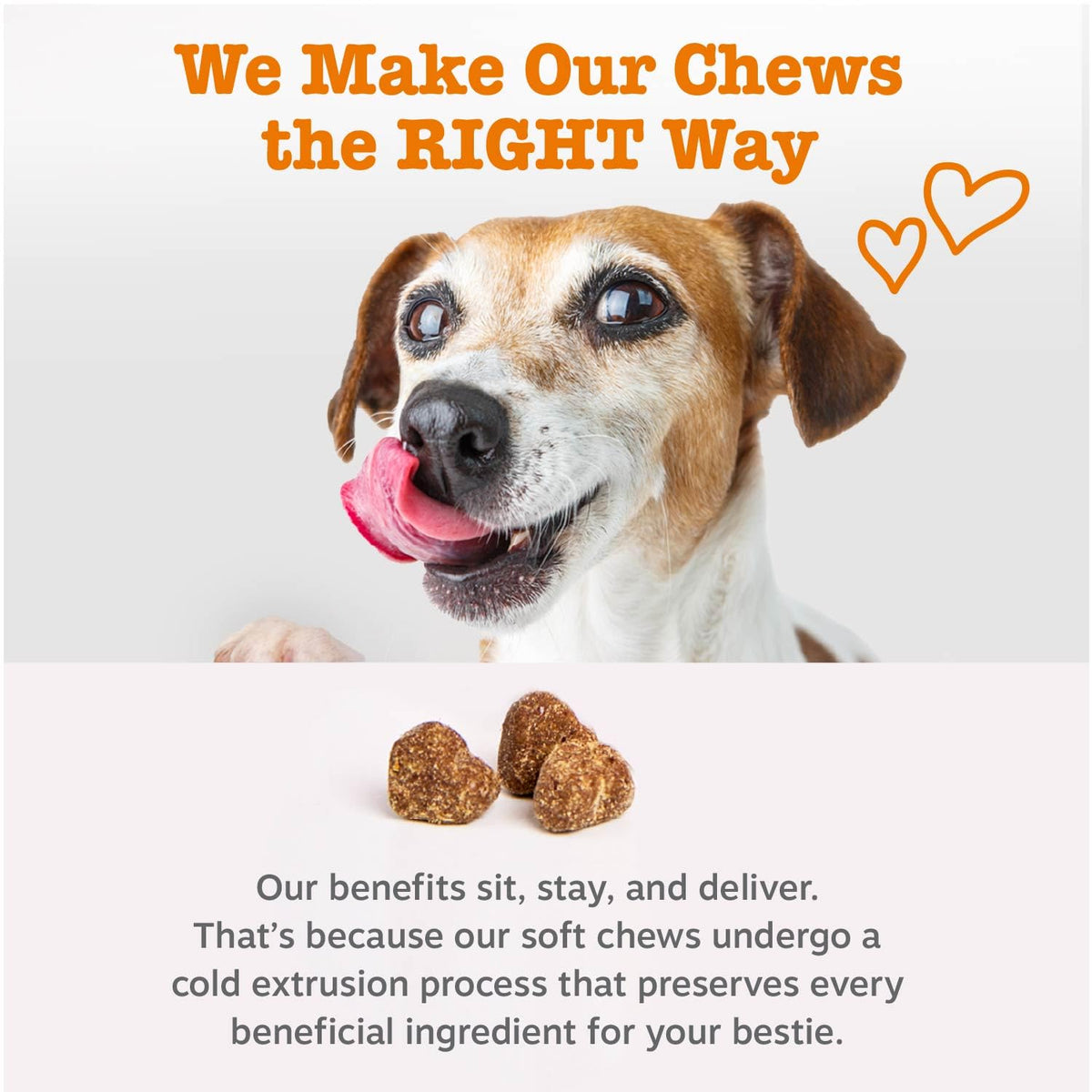 Zesty Paws Pumpkin Probiotic Soft Chews for Dogs, 90 Count