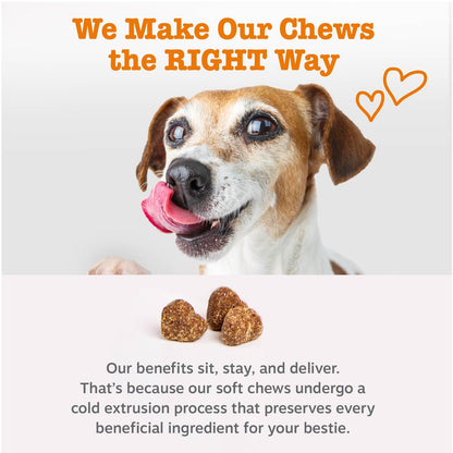 Zesty Paws Pumpkin Probiotic Soft Chews for Dogs, 90 Count