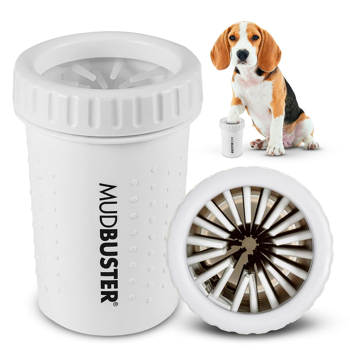 Washing a dog's paw in a Dexas MudBuster paw washer