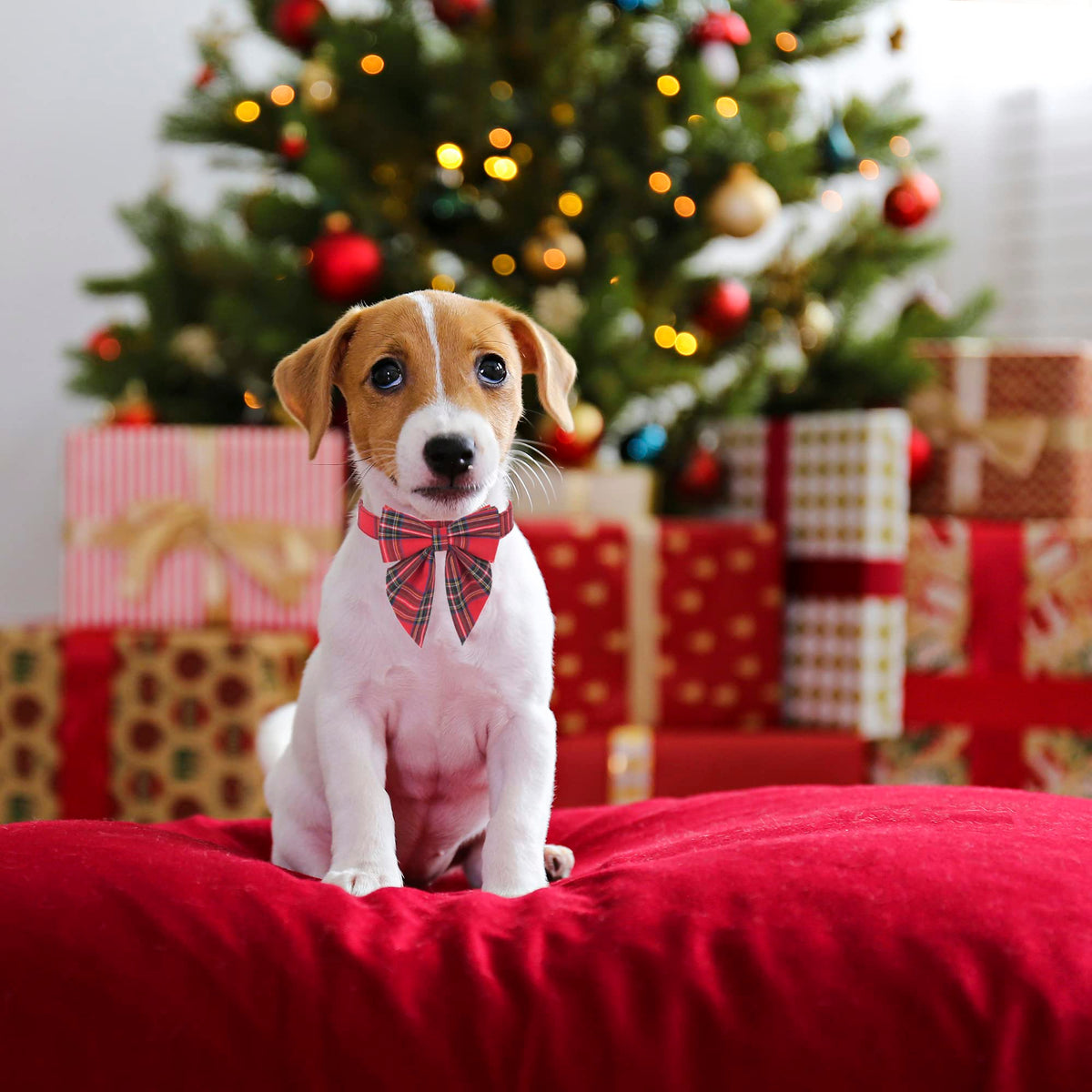 ADOGGYGO Christmas Dog Collar with Bow – Red & Green Plaid Cotton Dog Collar