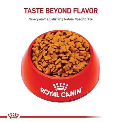 Royal Canin Small Adult Dry Dog Food, 4 lb Bag