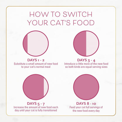 Purina Fancy Feast Dry Cat Food, 7 lb Bag