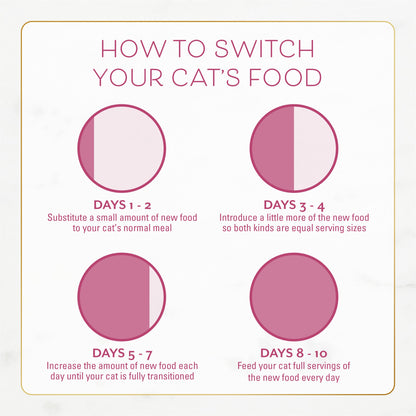 Purina Fancy Feast Dry Cat Food, 7 lb Bag