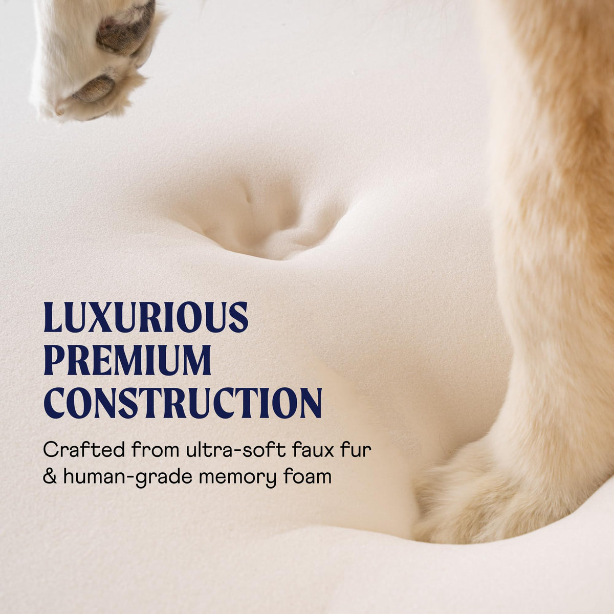 PAW PupRug Orthopedic Memory Foam Dog Bed – White/Brown, 40 x 25 in