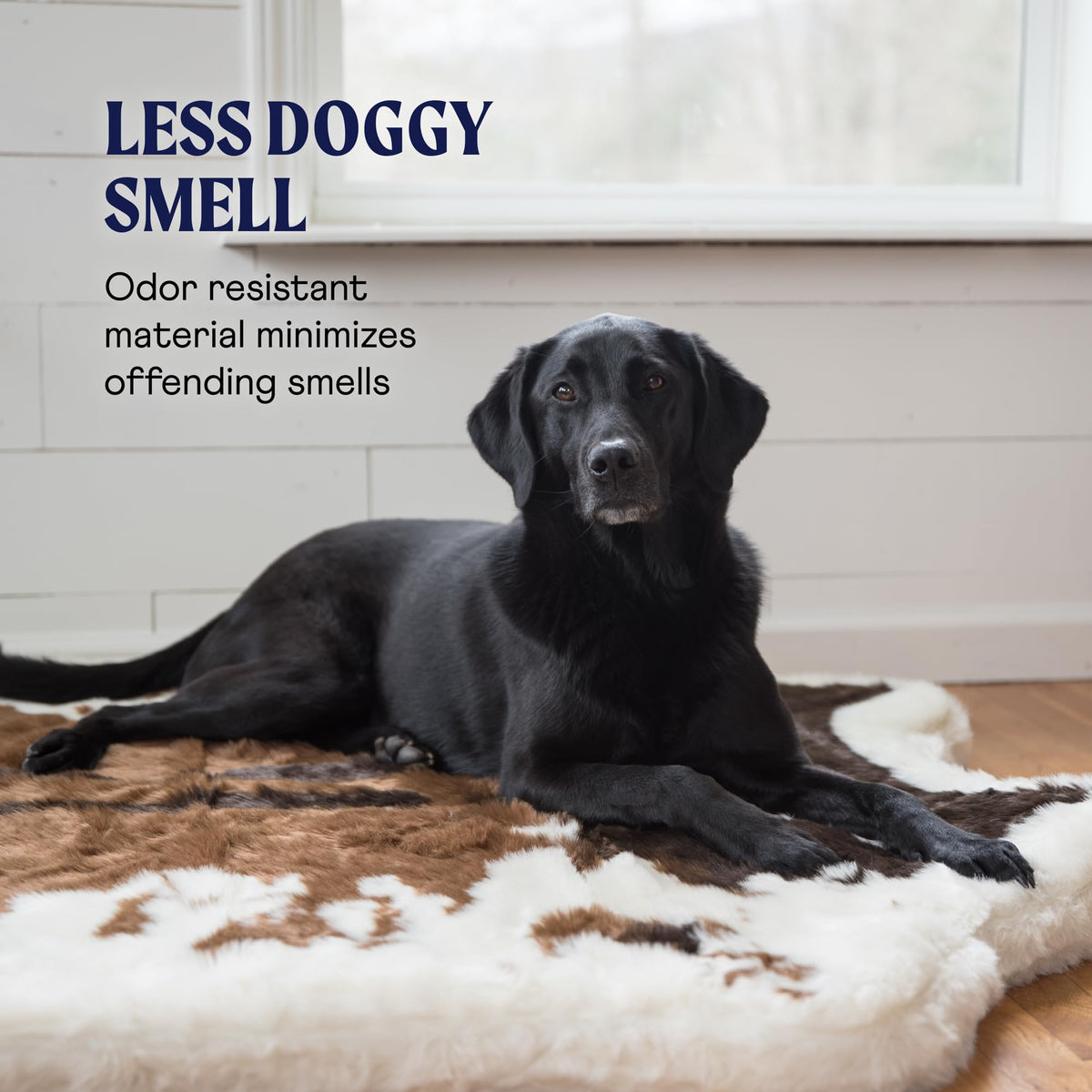 PupRug Orthopedic Dog Bed – full product view