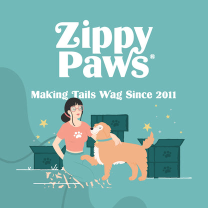 ZippyPaws Skinny Peltz flat plush dog toy with squeakers - no stuffing, less mess