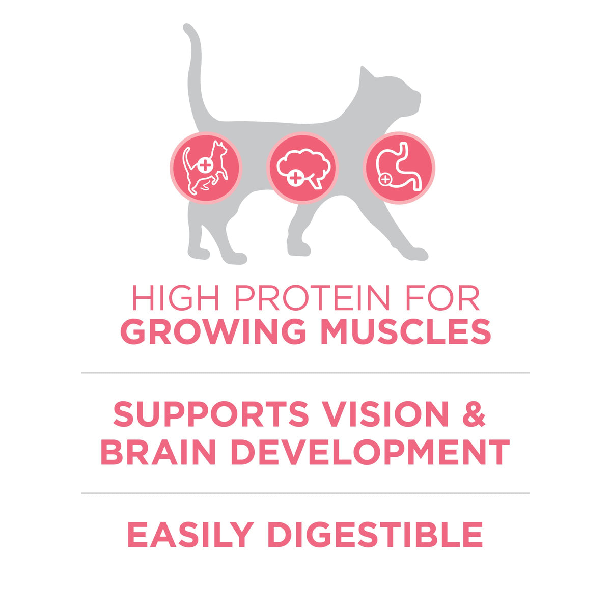 Purina ONE High Protein Kitten Dry Cat Food, 7 lb Bag