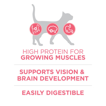 Purina ONE High Protein Kitten Dry Cat Food, 7 lb Bag