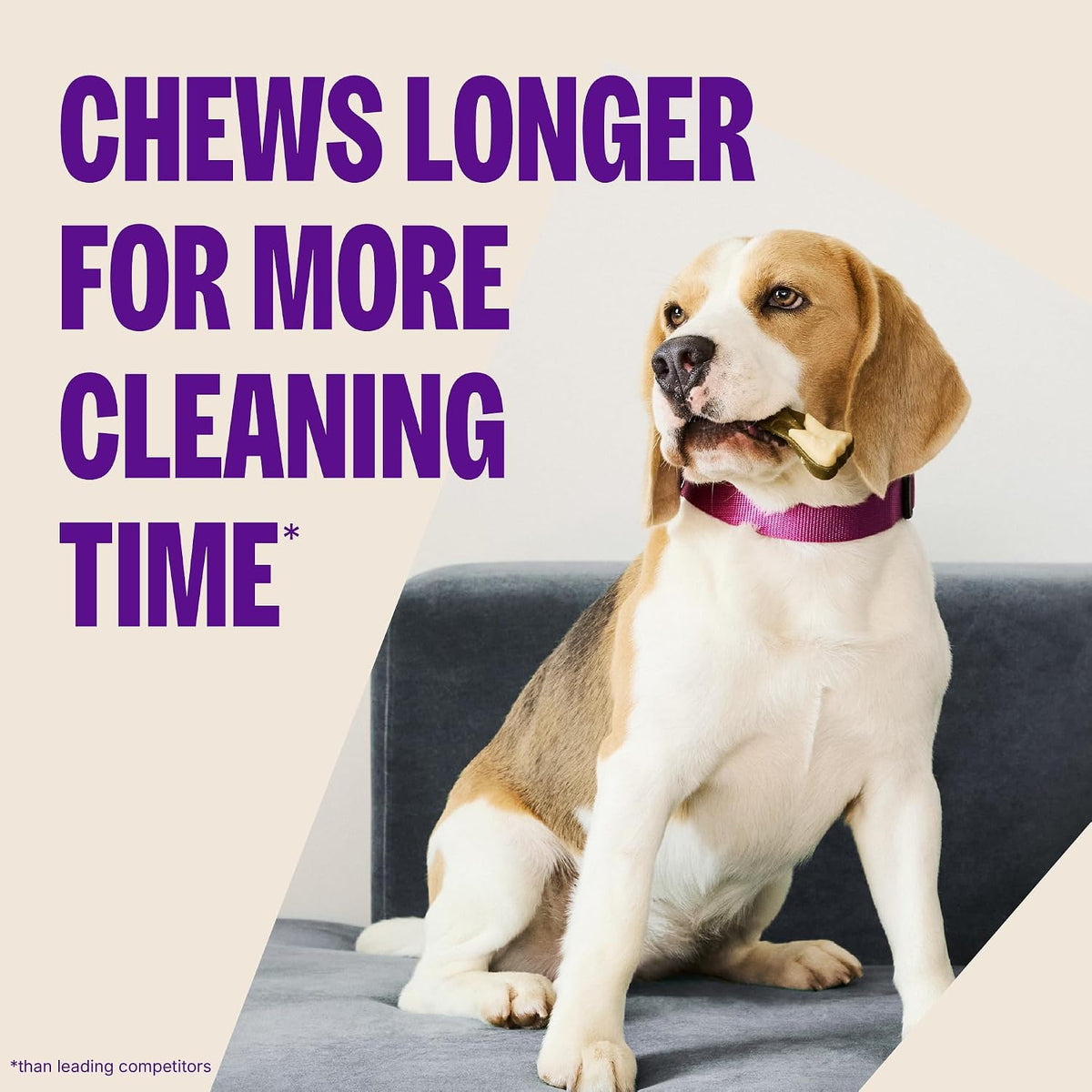 Whimzees Brushzees VOHC accepted dental chews