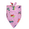 Pink Dinosaur