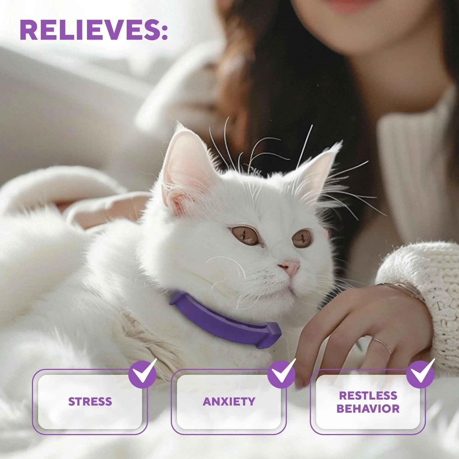 Cat Calming Collar & Pet Anti Anxiety Products   Feline Calm Pheromones Collars & Cats Stress Relief   Comfort Helps with Pee New Zone Aggression Fighting with Dogs & Other Behavior
