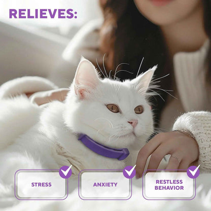 Cat Calming Collar & Pet Anti Anxiety Products   Feline Calm Pheromones Collars & Cats Stress Relief   Comfort Helps with Pee New Zone Aggression Fighting with Dogs & Other Behavior