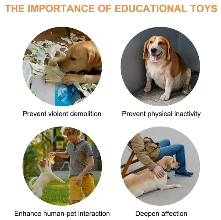 Interactive Pet Communication Button – Recordable Training & Talking Button for Dogs & Cats