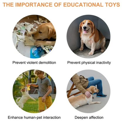Interactive Pet Communication Button – Recordable Training & Talking Button for Dogs & Cats