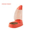 Orange Feeder