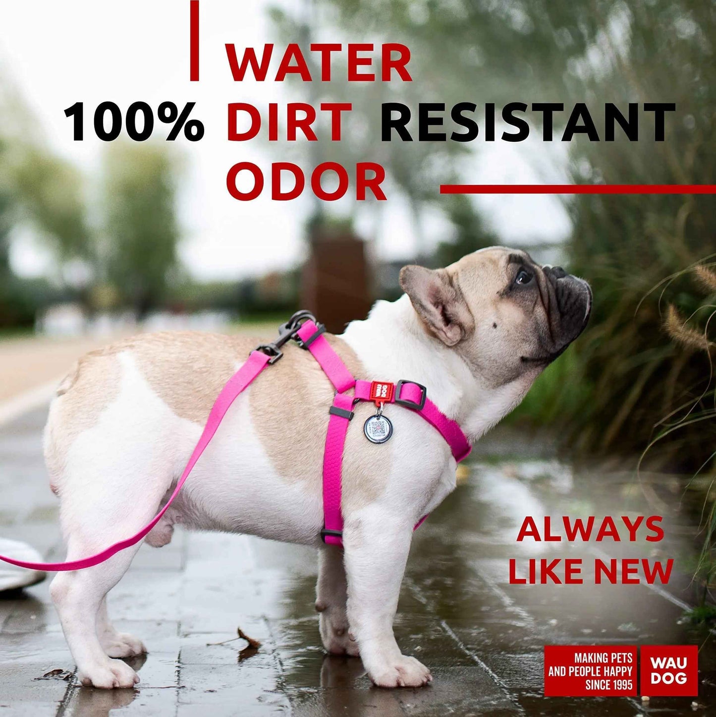 Waterproof Dog Harness   Adjustable Dog Harness for Large Dogs Small and Medium Dogs   Heavy Duty Dog Harness with Durable Metal Clasp and QR Dog Tag   Boy & Girl Dog Harness   Pink (20 32in)