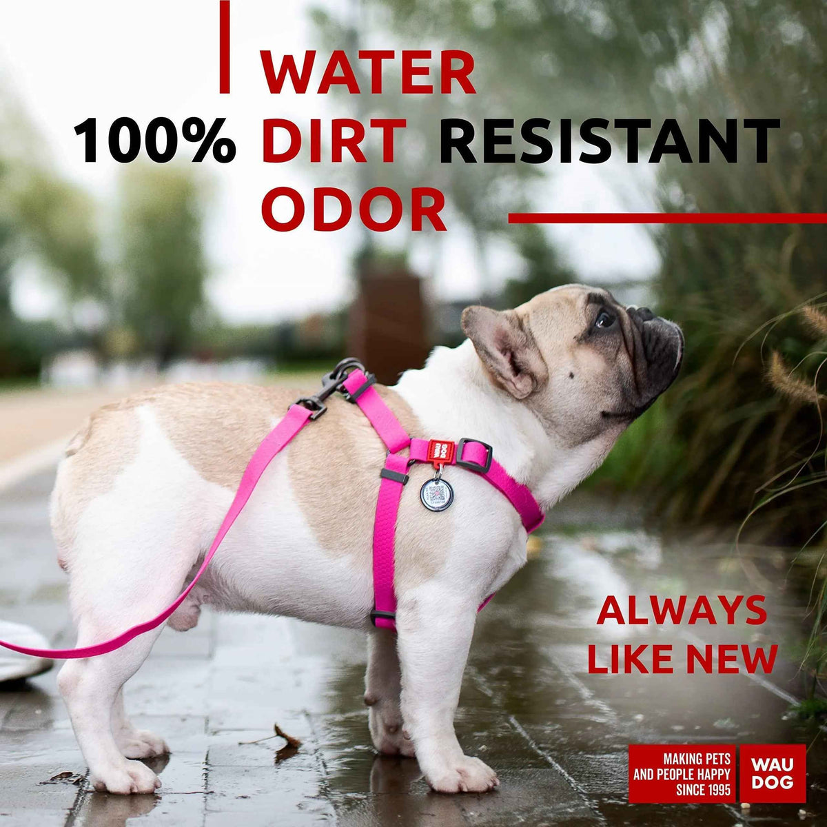 Waterproof Dog Harness   Adjustable Dog Harness for Large Dogs Small and Medium Dogs   Heavy Duty Dog Harness with Durable Metal Clasp and QR Dog Tag   Boy & Girl Dog Harness   Pink (20 32in)