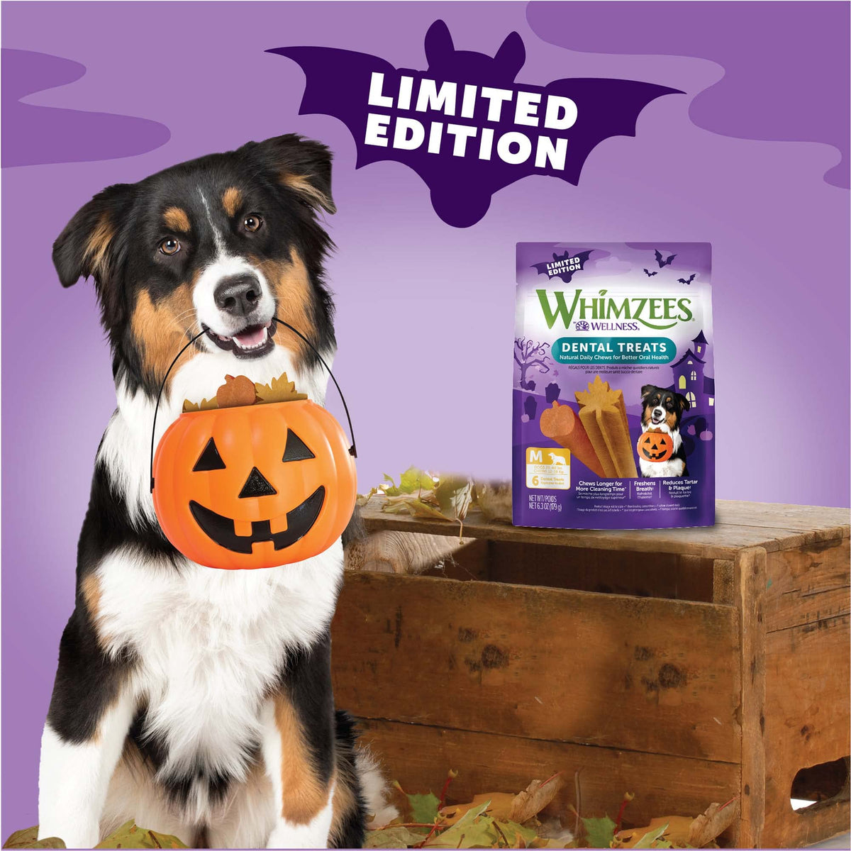 WHIMZEES Holiday Dog Dental Treats – Medium, 6 Count